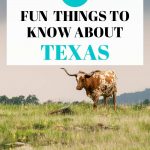 facts about Texas Pin Image