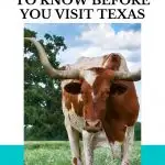 Awesome Facts about Texas