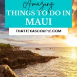 things to do in Maui
