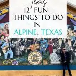 Alpine Texas Pin Image