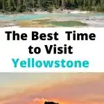 when to visit Yellowstone Pin Image