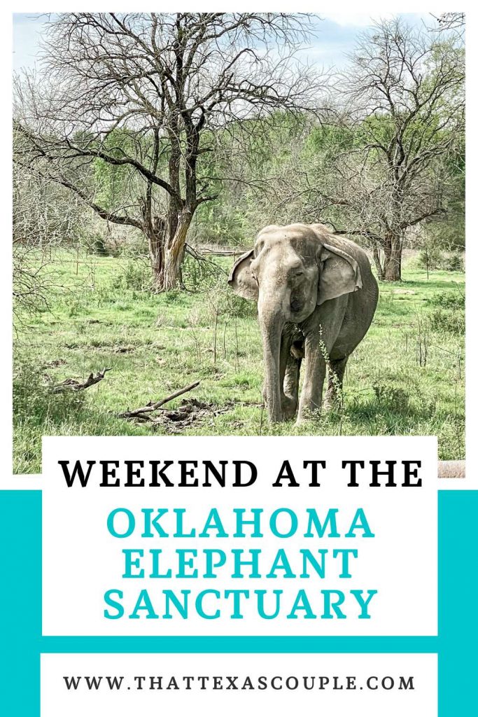 Pin for Oklahoma Elephant Sanctuary