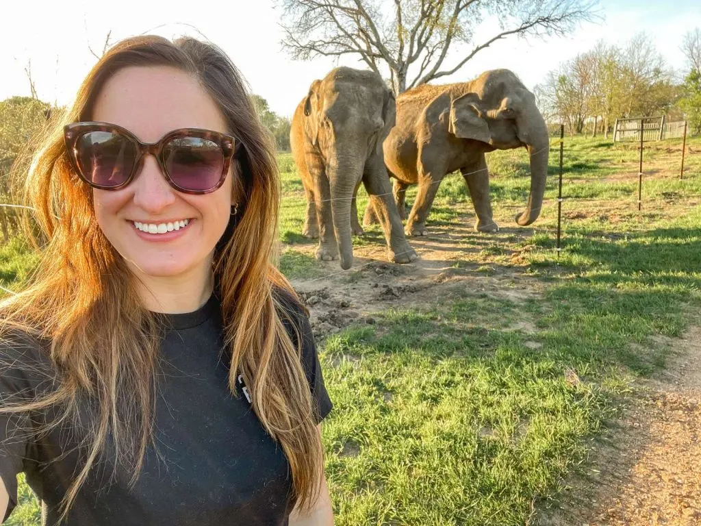 Tiffany and the elephants in Hugo, Oklahoma