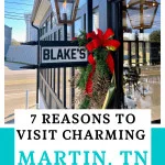 Martin, Tennessee Pin Image