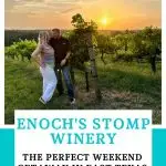Enoch's Stomp Winery Pin Image