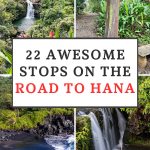 Road to Hana Pin