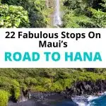 stops on the Road to Hana pin image