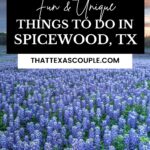 spicewood tx