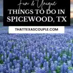 spicewood tx