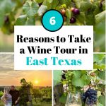 East Texas Wine Tour Pin Image