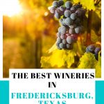 Fredericksburg, TX wineries