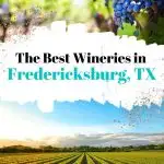 wineries in Fredericksburg, TX