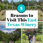 winery in East Texas, Walkers Mill Pin