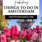 things to do in Amsterdam