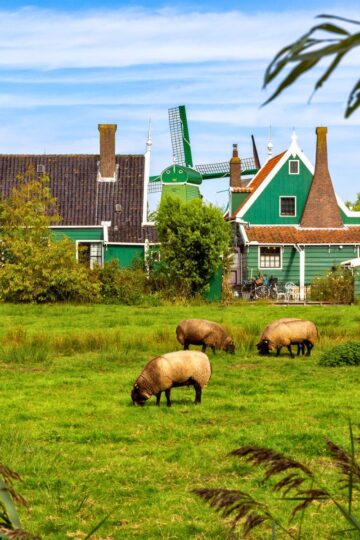 things to do in Amsterdam