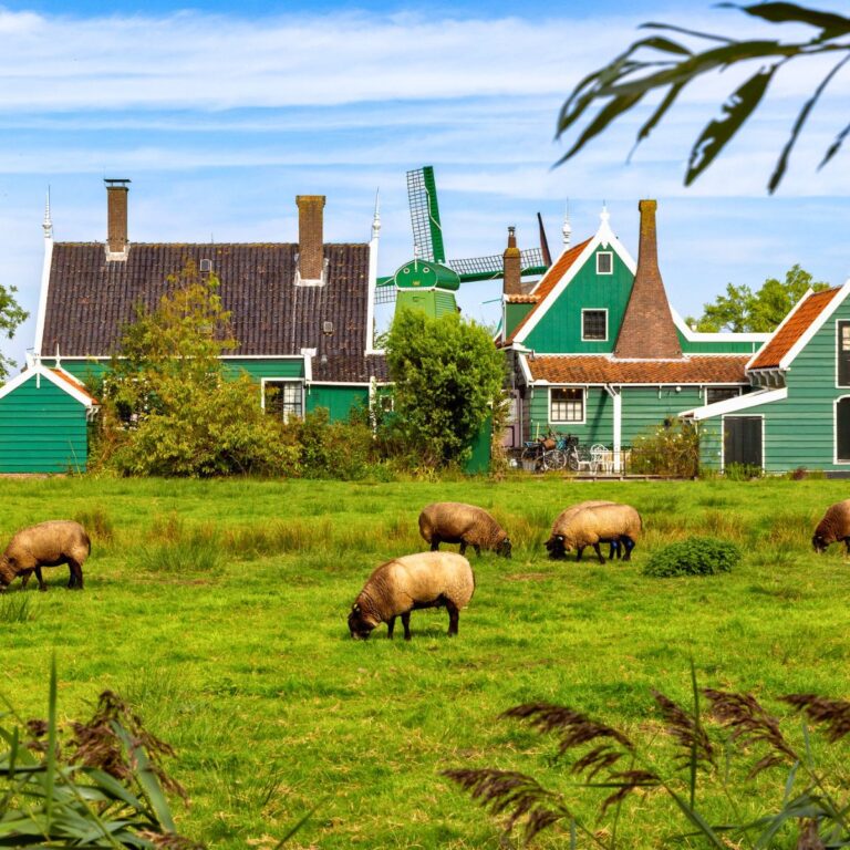 5 Fabulous Day Trips from Amsterdam (Including FAQ)