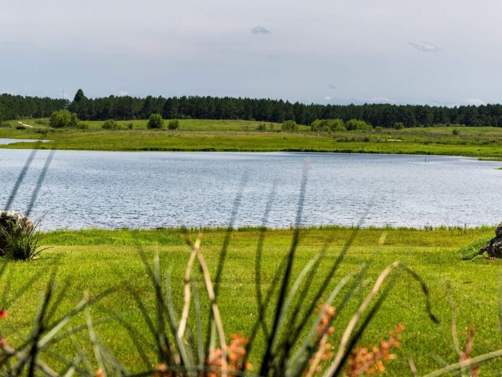 Twisted Pines Winery